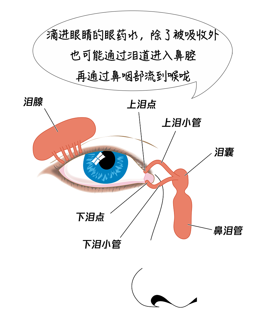 1692003145604059150.png