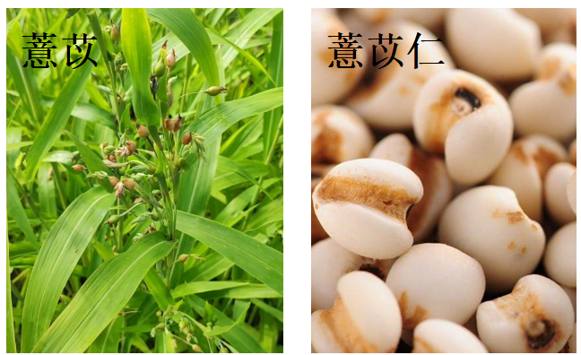 1761724702235059560.png 1.png