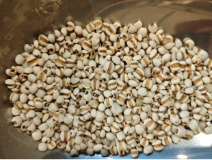 1761725059477055596.png 4.png