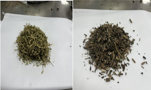 1768360409569087133.png 2.png